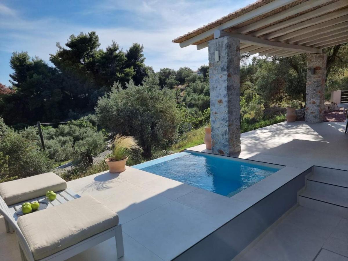 Stone Build Suite With Private Pool Kolios Exteriör bild
